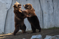Shall we dance&hellip;