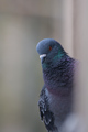 Are you talkin&hellip;