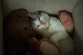 in Love with T&hellip;