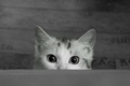 hypnotizing me
