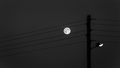 Moonlight sona&hellip;