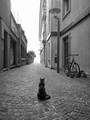 gospodar situa&hellip;