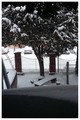pogled s mojeg&hellip;
