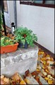 puno posla oko&hellip;