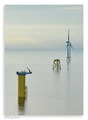 Trio ...ili ip&hellip;
