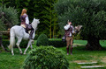 Fairytale Rehe&hellip;
