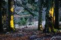 Last rays of l&hellip;