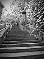 Stairway to he&hellip;