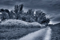 -apocalypse-