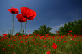 -we all stand &hellip;