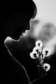 -Dandelion Pri&hellip;