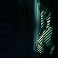 -whisper of th&hellip;