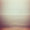 -i'll fol&hellip;