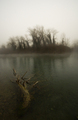 -silent mist-