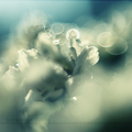 -dreams are ma&hellip;
