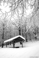 -cold-