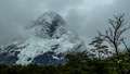 Patagonijsko l&hellip;