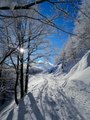 Sunčevim trago&hellip;