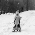 Human please d&hellip;