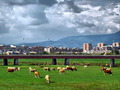 zagrebacka pan&hellip;