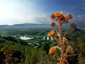 dolina neretve