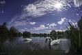 jezero na Savi&hellip;