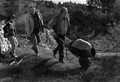 Dalmatinska bu&hellip;