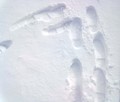 susret na snij&hellip;