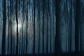 Hear you howl &hellip;