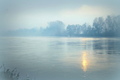 Sanjivo plavet&hellip;