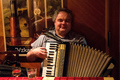 Harmonikaš