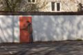 The door in th&hellip;