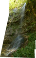 fina panorama &hellip;