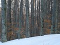 Zima na Leuste&hellip;