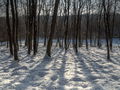 Zima - landsca&hellip;