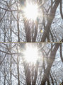detalj - sunce