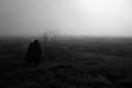 Foggy day with&hellip;