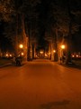 Zrinjevac noćn&hellip;