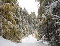 nevicata in au&hellip;