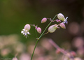 Ljepota prirod&hellip;