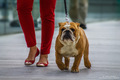 The bodyguard.&hellip;
