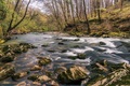 Rječina