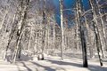 Platak 22.11.2&hellip;