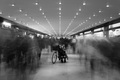 Hiding in plai&hellip;