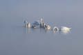 savsko jutro ♥&hellip;