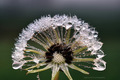 moj novi friz &hellip;