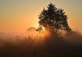 čarobno jutro &hellip;