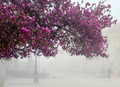 brodska jutra &hellip;