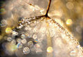 the magical wo&hellip;