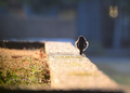 in the morning&hellip;